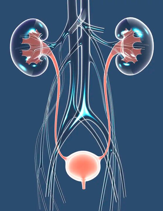 Ilustracija zdravega moškega zdravja